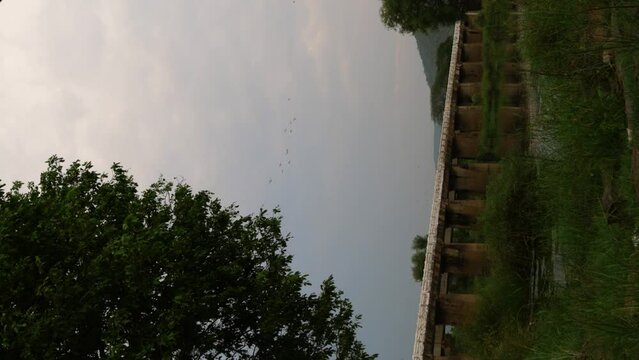 flock of birds flying in a dusky sky above a bridge and a tree is in forground