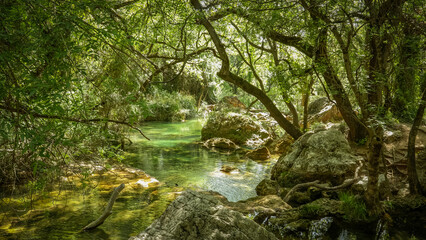 Sillans la cascade en Provence. la cascade se jette dans des bassins de couleur turquoise et émeraude. L'eau coule ensuite dans de petits bassins en faisant des mini cascades.	