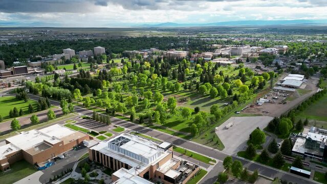Green trees in Wyoming town near laramie with buildings and cloudy sky