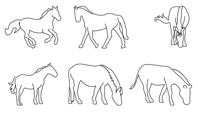 horse vector collection