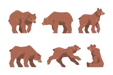 Brown Bear as Large Wild Terrestrial Carnivore Mammal with Thick Fur Vector Set