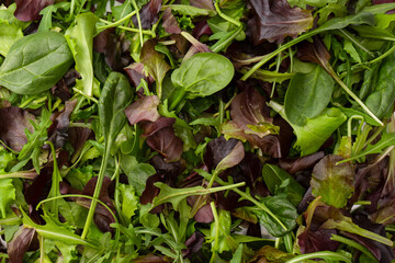 Fresh mix of salads with edible flowers. Top view.