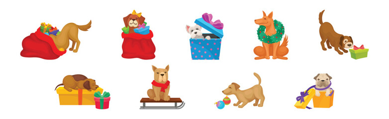 Funny Dog Breed with Winter Holiday Symbols Vector Set