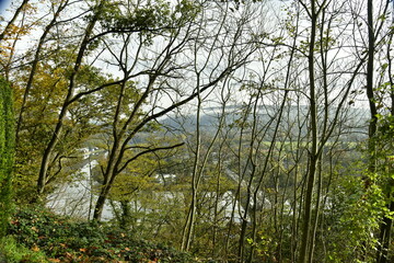 Obraz na płótnie Canvas La forêt de Rouilon en automne sur les pente des collines dominant la vallée de la Meuse à Annevoie au sud de Namur