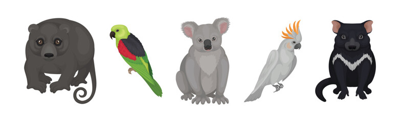 Different Australian Animals with Wombat, Koala, Cockatoo and Tasmanian Devil Vector Set