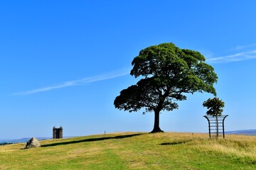 Landscape with an oak tree on the hill, summer, Disley, Stockport, England, UK