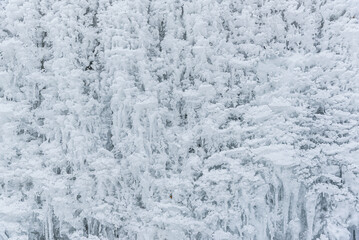 Ice. Frozen river. Water frozen in ice in a pond.
