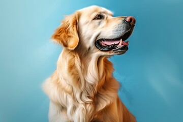 Obraz premium The Golden Retriever Dog Generative AI