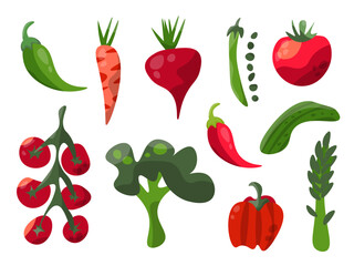 Collection of colorful hand drawn fresh delicious vegetables isolated on white background. Bundle of healthy and tasty vegan products. Flat vector illustration