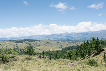 Fototapeta na wymiar Vegetation landscape in the Sierras de Cordoba in Argentina
