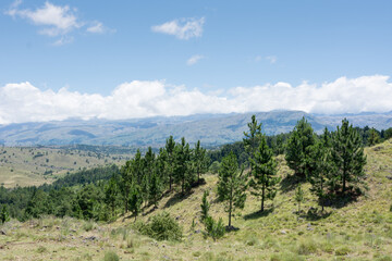 Vegetation landscape in the Sierras de Cordoba in Argentina