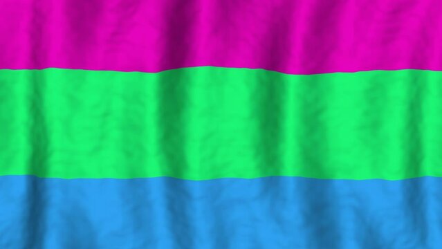 Poly sexual pride flag