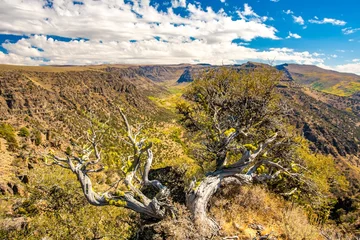 Fotobehang Big Indian gorge in the steens mountains in south cenbtral Oregon., near Frenchglen © Bob