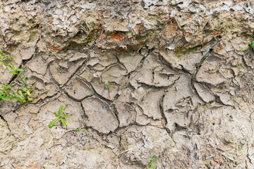 dried cracked soil in a field during a drought