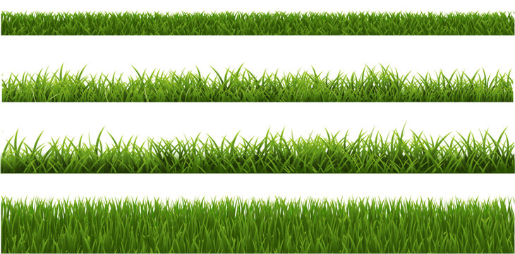 green grass background