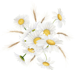 Hand Drawn Watercolor Bouquet Of A White Daisy And Spikelets Wheat