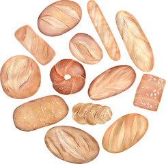 Hand Drawn Watercolor Composition Of Fresh Wheat Loaf Bread Bakery