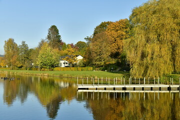 Fototapeta na wymiar La végétation luxuriante en automne le long des berges du lac des Doyards à Vielsalm