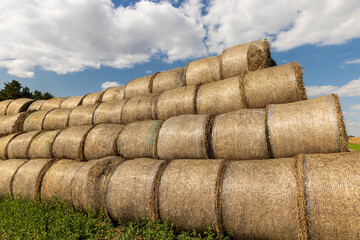stacked straw stacks in the spring season remaining in the field