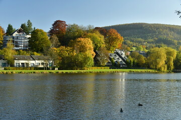 Fototapeta premium Immeubles à appartements et maisons de vacances en plein coeur de la végétation luxuriante le long des berges du lac des Doyards à Vielsalm