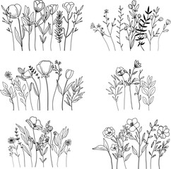 Botanical abstract line art composition, minimal floral border of hand drawn herbs, flowers, leaves and branches; vector illustration - 609720611