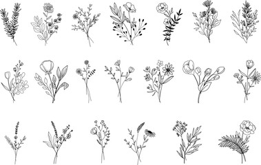 Botanical abstract line arts, hand drawn bouquets of herbs, flowers, leaves and branches, vector illustration - obrazy, fototapety, plakaty