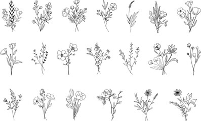 Botanical abstract line arts, hand drawn bouquets of herbs, flowers, leaves and branches, vector illustration - 609720625
