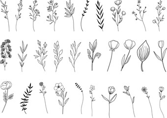 Botanical abstract line arts, hand drawn herbs, flowers, leaves and branches, vector illustration - 609720629