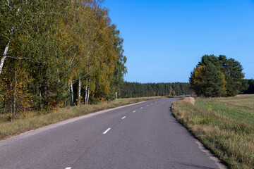 Paved road in the autumn season in sunny weather