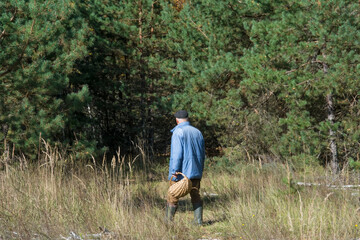 A mushroom picker is looking for mushrooms in the autumn forest.