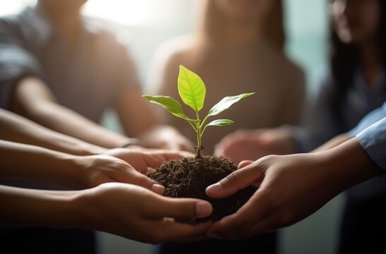 An inspiring image of hands nurturing soil and fostering plant growth. Symbolizing the harmony between humans and nature, this photo represents sustainable gardening and the beauty of cultivating life