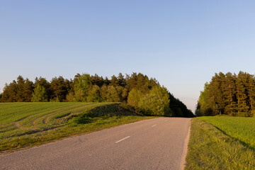 Fototapeta premium paved road in the spring season during sunset