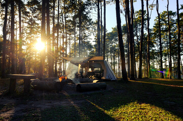 Obraz premium Camping tent tourism under pine forest trees landscape backlit by golden sunlight with sun rays pouring through trees. Campground with a bonfire in beautiful sunlight before sunset is romantic.