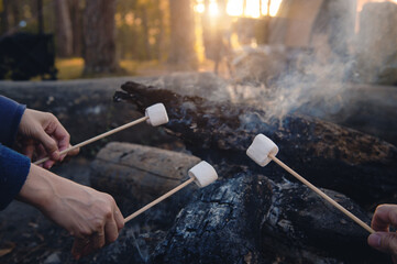 Roasting marshmallows on an extinguished bonfire near a camping yard under natural forest trees...