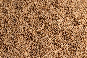 A large amount of harvested buckwheat