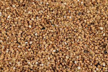 natural ecological grown buckwheat, close up