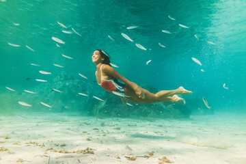 Enjoying In Underwater World