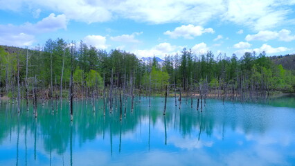 美瑛町白金青い池4（リフレクション強）