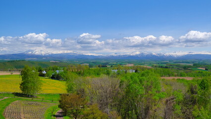 Obraz premium 美瑛町北西の丘ピラミッド展望台からの旭岳方向1