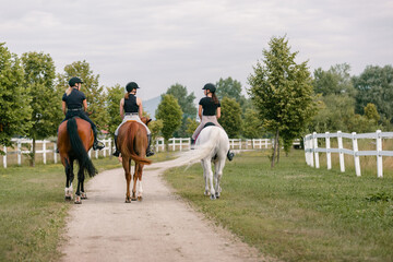 Horsewomen riding beautiful horses along the trail at the equestrian center on a bright summer day....