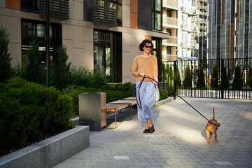 Young pretty female adult with small ginger dog in the bi city walking having fun. City view High quality photo