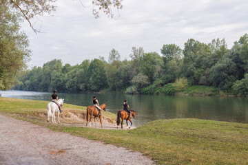 Three female riders enjoying riding horses in the beautiful nature, stepping down to the river...