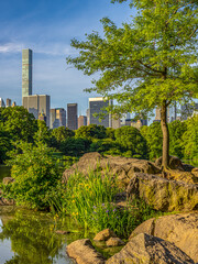 Central Park, New York City at the lake