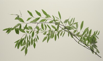  a branch of a tree with green leaves on a white background with copy - up space for a text or a picture of a branch of a tree with green leaves on a white background.  generative ai