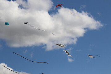 Plusieurs cerf-volant