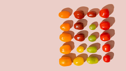 Different colorful cherry tomato isolated on pink background with copy space, mockup