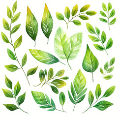 green leaves seamless pattern watercolor