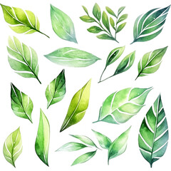 green leaves seamless pattern watercolor