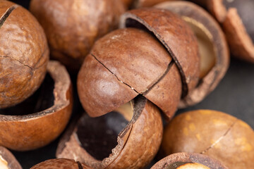 A bunch of ripe macadamia nuts in a hard shell