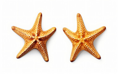 Two shells and a starfish on a white surface,, Generative Ai